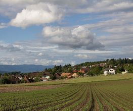Gemeindeschreiberei Einwohnerkontrolle Kallnach Bild 14