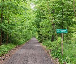 Der Weg zum FriedWald Fürstenwalde.