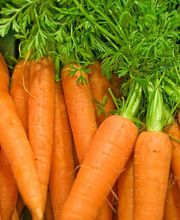 Baur Früchte & Gemüse GmbH Bild 10