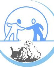 Elevage de la Cuvée des Golden Boss image 9