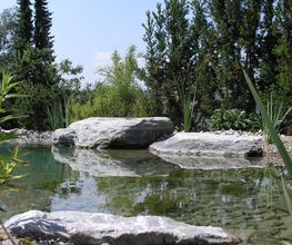 J.N. JARDINS NATURELS CHAVORNAY SA Bild 5