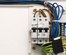 Anelec image 1
