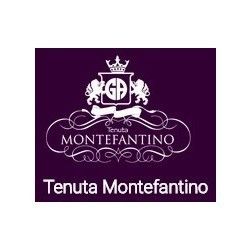 Vini Tenuta Montefantino logo