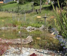 Bolz Gartenbau GmbH Bild 6