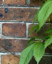 Meslin et Fils image 1