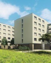 Triade image 4