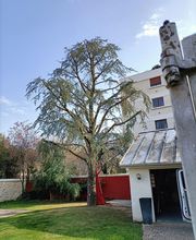 Jardin -Sy image 3