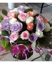 La Rose Rouge image 15