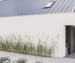 DOCTOR HAUS Bild 4