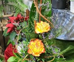 Blumen-Ecke Romana Hoss Bild 3