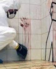 Tatort Reinigung Bild 3