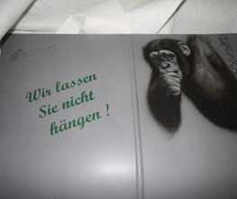 KFZ & Lackiertechnik Maier Bild 17