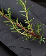 CLASSIC ZEITREISE YOUNGTIMER & OLDTIMER EVENT LOCATION Bild 1