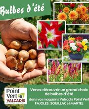 Point Vert Valcadis image 2