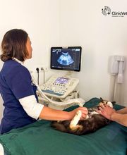 ClinicVet Vétérinaire Beaumont-le-Roger image 12