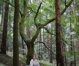 Taiji-Qigong mit Regine Bild 13