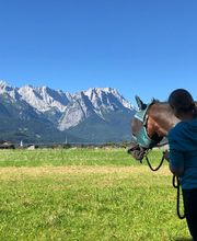 Nicola Annaberger, Pferdeosteopathie Oberland, Pferdephysiotherapie Oberbayern, Pferdeosteopathie Oberbayern, Osteo Pferd Bild 16