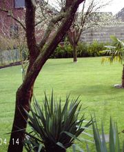 A-Z Garten- und Landschaftsbau Ingo Schmidt Bild 16