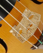 Thomas Billoux Luthier image 1