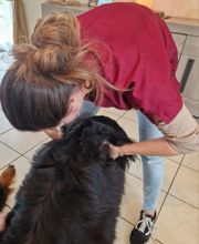 Dr Solène Duvergé ostéopathie vétérinaire image 3