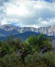 New Image Med Spa image 12