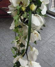 Zurbriggen Philibert AG Bild 3