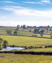 Agence Dumas Immobilier image 4