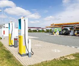 Shell Bild 13