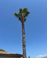 CORSE ELAGAGE image 5