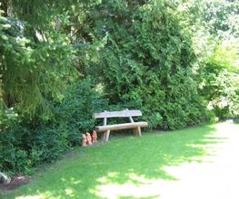 Hatt Gartenbau Bild 4