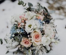 Blumen Schultz Bild 1