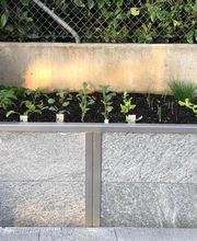 Schefer's Garten GmbH