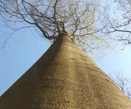 FriedWald Buxtehude Bild 16
