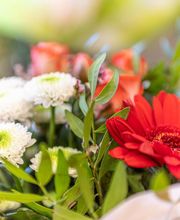 Floraly image 9