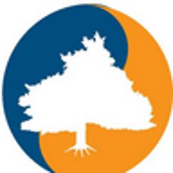 Andrea Gramelsberger