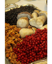 Baier Georg GmbH Bild 2