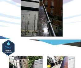 France detection image 4