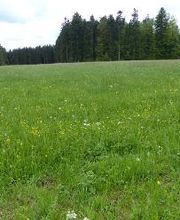 Camping Erbenwald Bild 10