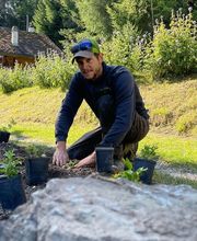 Arbre & Co Sàrl Bild 5