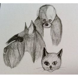 Hundesalon Emmensteg