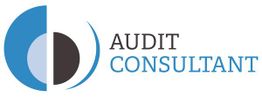 Audit Consultant