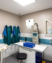 Clinique vétérinaire de la Vallée - Ermont - Sevetys image 6