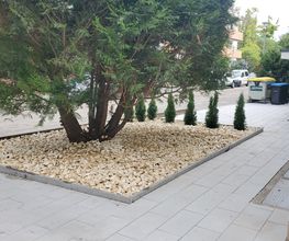 Vorgarten