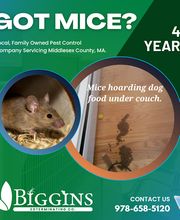 Biggins Exterminating image 20