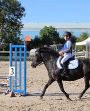 Ecuries Lalye GUILLAUMEE CHANTAL image 9