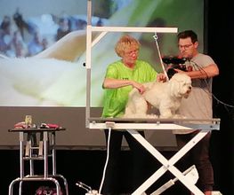Hundesalon Pfiffikus Bild 8