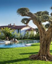 MOMO GIARDINI SA - GIARDINIERE LOCARNO, AFC / EFZ Bild 8