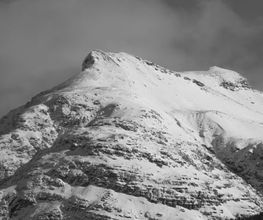 Fotografie Scheeder Bild 1