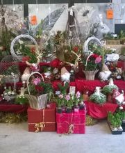 Bricomarché image 5