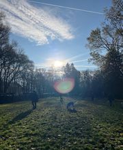 Hundecoach Melly- Mobil & Individuell Bild 13
